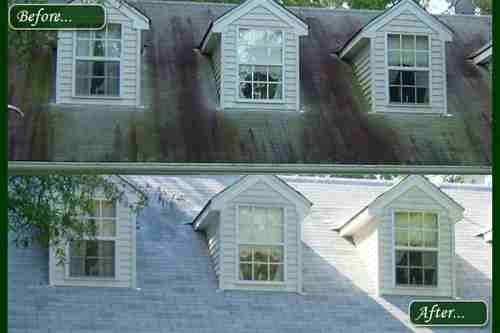 Roof Cleaning Results